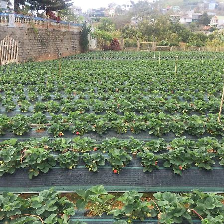 Nhat Nam Hotel Dalat Dış mekan fotoğraf