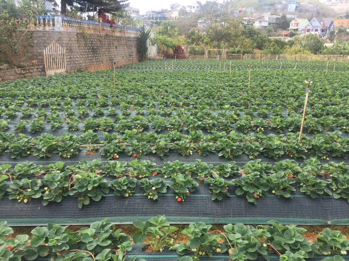 Nhat Nam Hotel Dalat Dış mekan fotoğraf